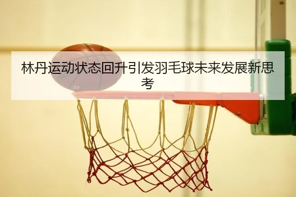 林丹运动状态回升引发羽毛球未来发展新思考